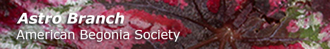 Astros Branch - American Begonia Society
